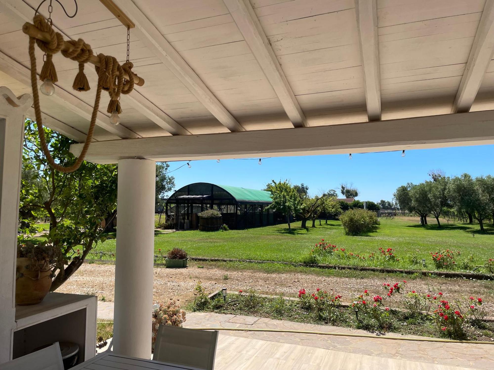 Villa Olga Tarquinia Exterior foto